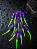 2” Purple Voltage 12ct