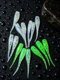 2” Night Night (Glow) 12ct