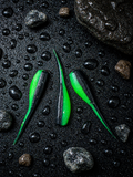 2” Green Goblin 12ct